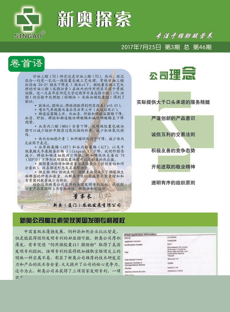 益阳_2025新澳门精准正版,非议简化精选解析、解释与落实
